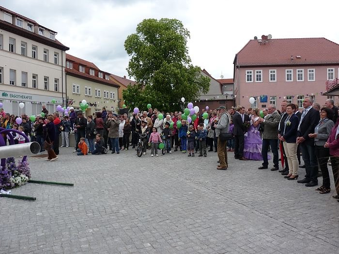 Fliederkrone gesetzt
