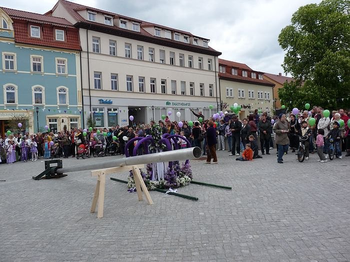 Fliederkrone gesetzt