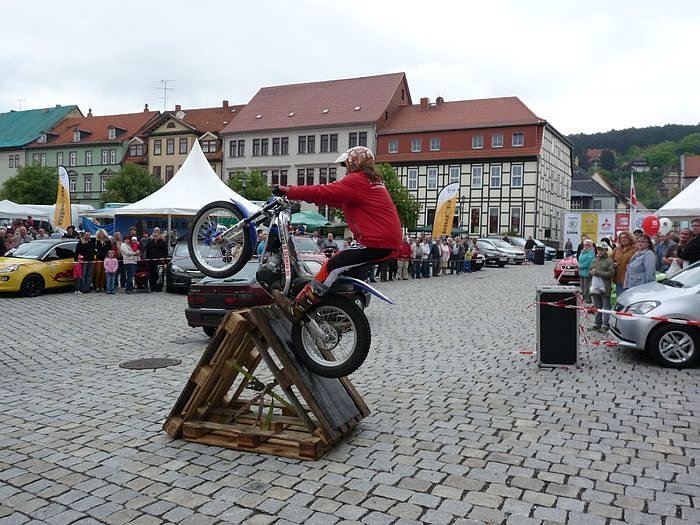 Markt zum Fliederfest