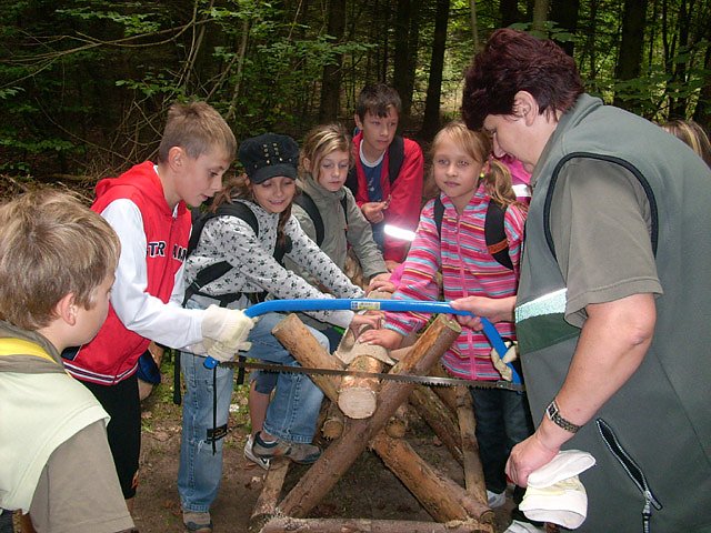 Waldjugendspiele an der Schewrnberger Holzecke
