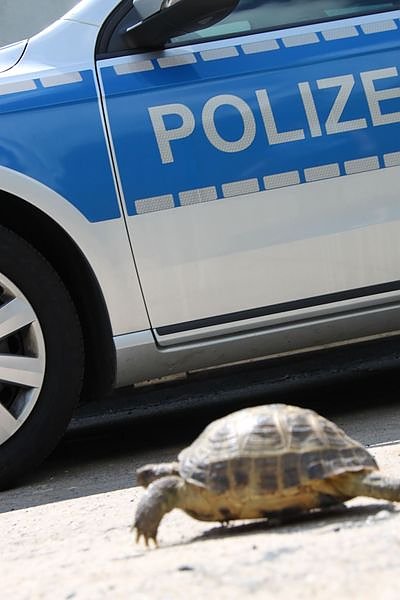 Besuch bei der Polizei