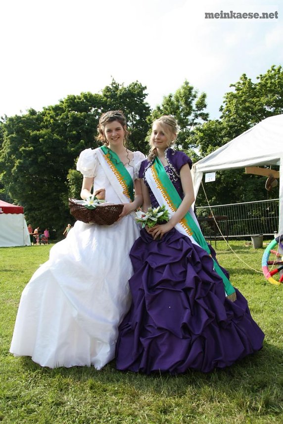 Th&uuml;ringentag 2013 in Sondershausen