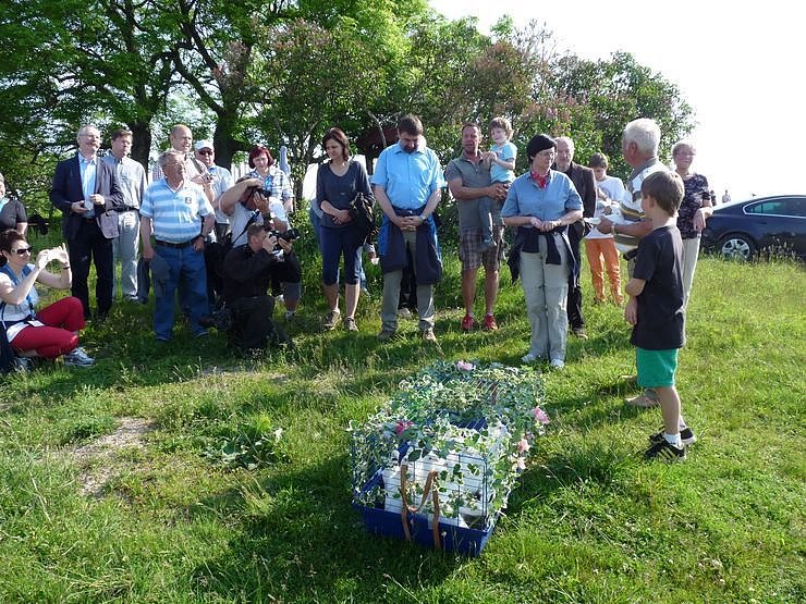 Kleine Geschichtsstunde