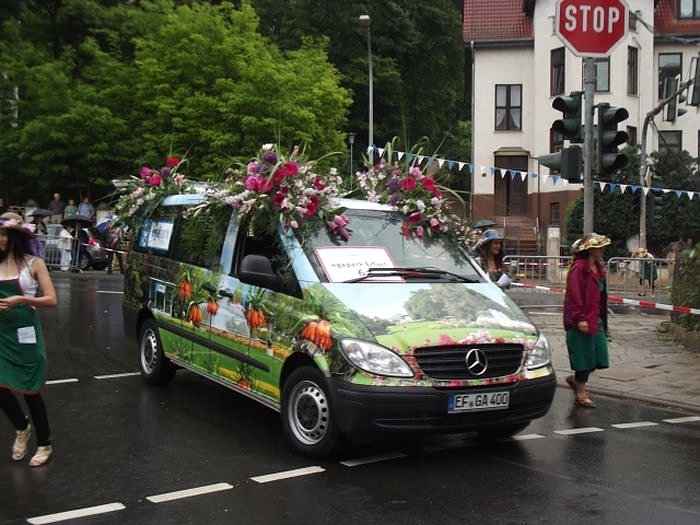 Weitere Bilder Festumzug (1)