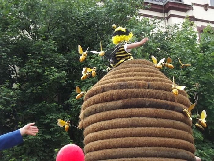 Weitere Bilder Festumzug (2)