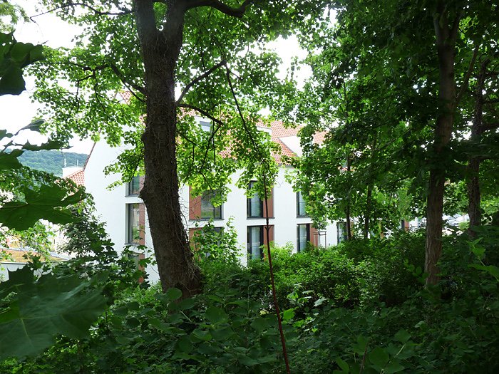 Innovationspreis nach Sondershausen (1)