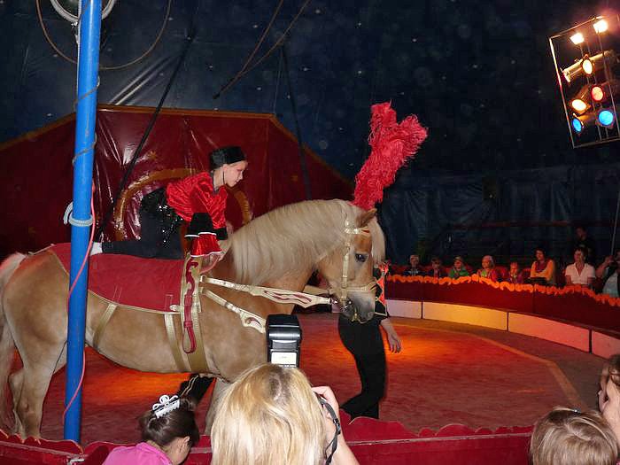 Tolles Zirkusprogramm