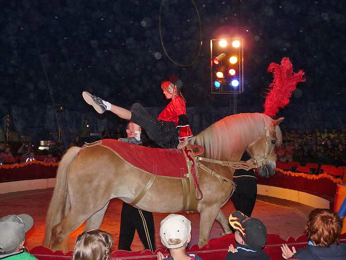 Tolles Zirkusprogramm