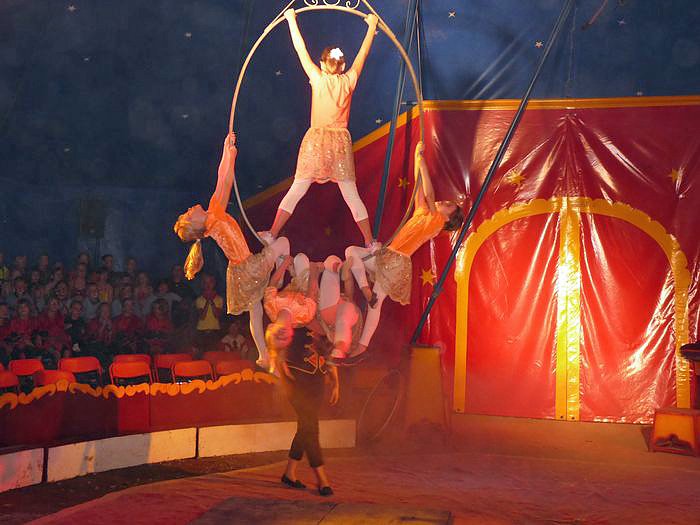 Tolles Zirkusprogramm