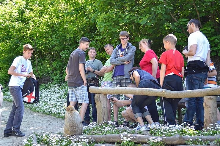 Internationale Jugendbegegnung auf Feuerkuppe