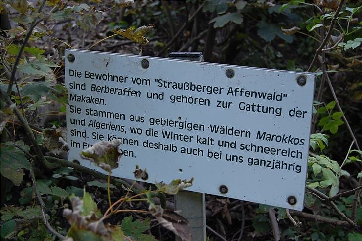 Affenwald Erlebnispark Strau&szlig;berg