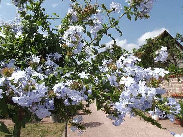 Seniorenausflug ins Land, ...