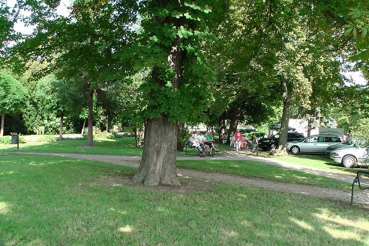 Flucht in den Schatten,