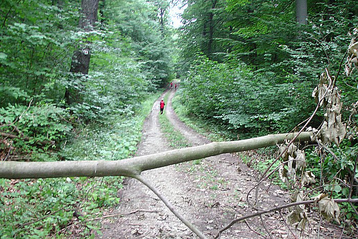 Wanderer unerw&uuml;nscht?