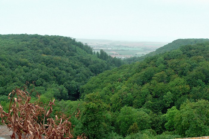 Interessantes Sch&uuml;lerprojekt