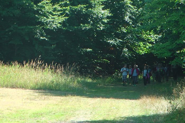 Die Naturentfremdung unserer Gesellschaft, vor allem der Kinder und Jugendlichen, nehmen immer weiter zu. Eine Gegenpol, der den Kindern auch noch Spa&szlig; macht, sind die Waldjugendspiele.   Auch wenn Sp