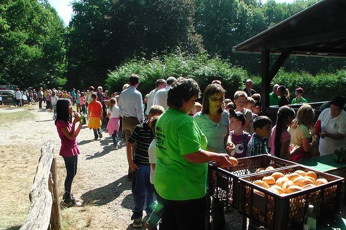 Die Naturentfremdung unserer Gesellschaft, vor allem der Kinder und Jugendlichen, nehmen immer weiter zu. Eine Gegenpol, der den Kindern auch noch Spa&szlig; macht, sind die Waldjugendspiele.   Auch wenn Sp