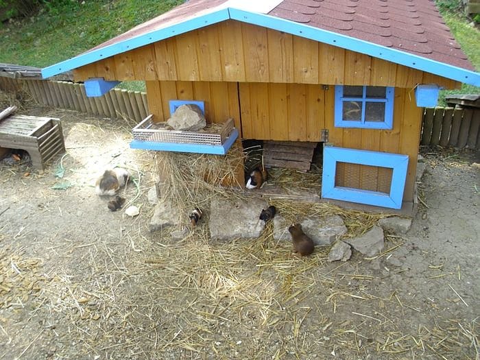 "Sauerei" auf dem Possen