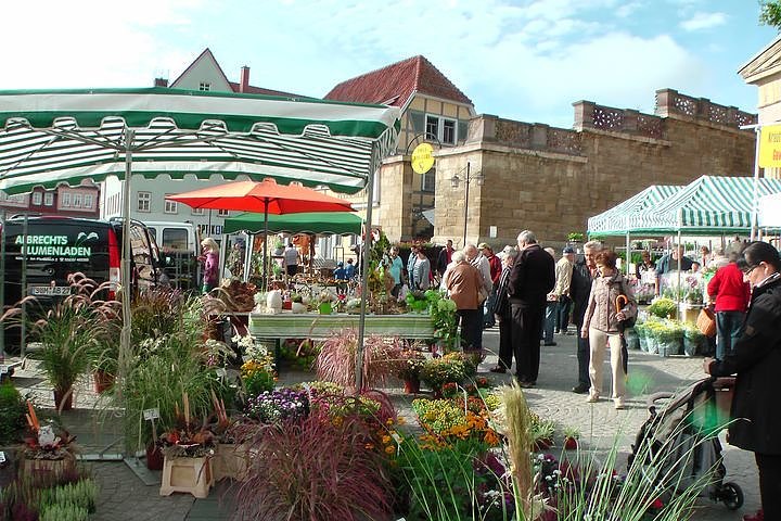 Gro&szlig;er Pflanzenmarkt mit Aktionstag
