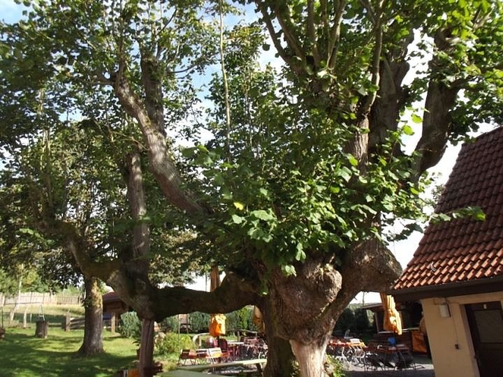 Kaffeefahrt zur S&auml;gem&uuml;hle