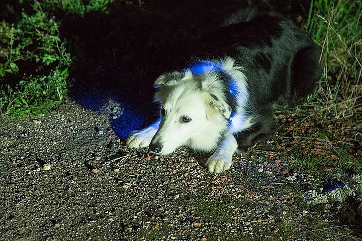 Gemeinsame Gro&szlig;&uuml;bung