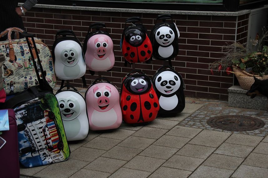 Zwiebelmarkt in Artern