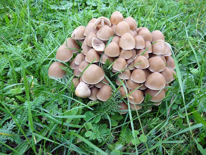 Ja was ist denn das?