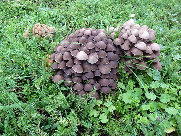 Ja was ist denn das?