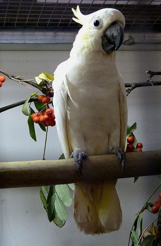 Sehenswerte Ausstellung