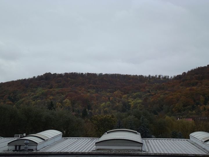 Goldener Herbst und buntes Laub