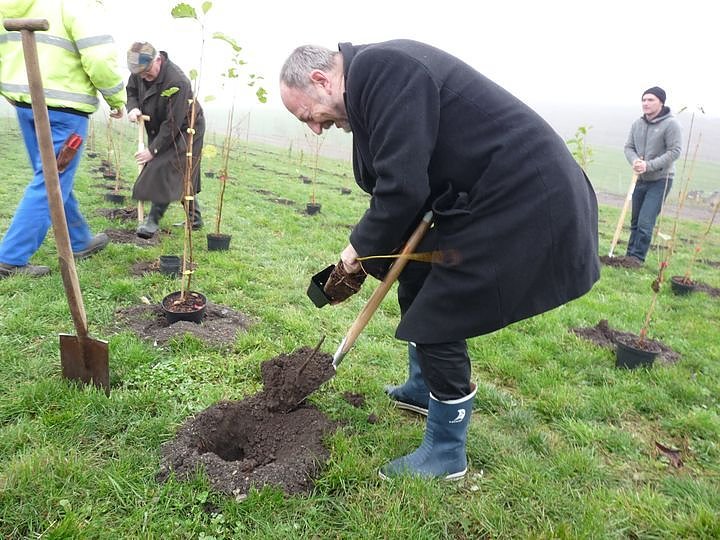 Begr&uuml;nung der R&uuml;ckstandshalde