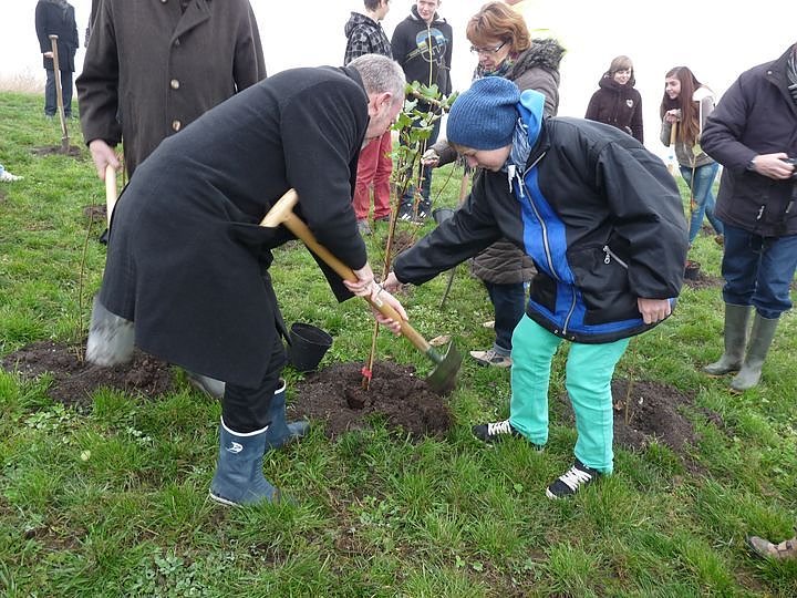 Begr&uuml;nung der R&uuml;ckstandshalde
