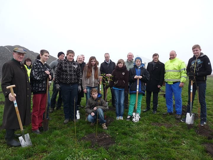 Begr&uuml;nung der R&uuml;ckstandshalde