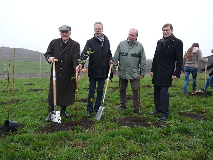 Begr&uuml;nung der R&uuml;ckstandshalde