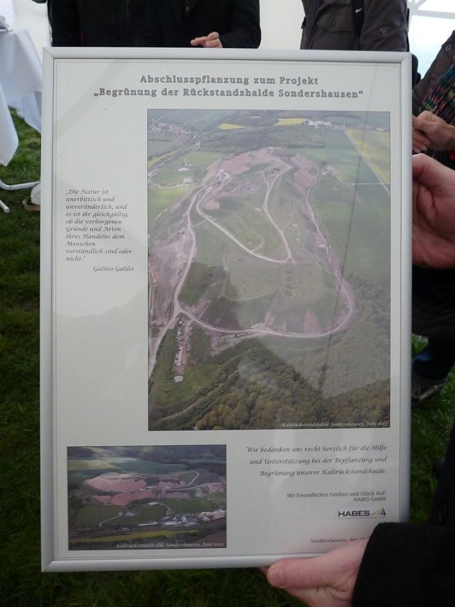 Begr&uuml;nung der R&uuml;ckstandshalde