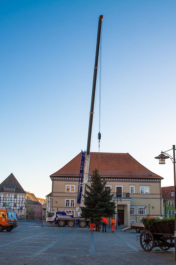 Weihnachtsbaum steht