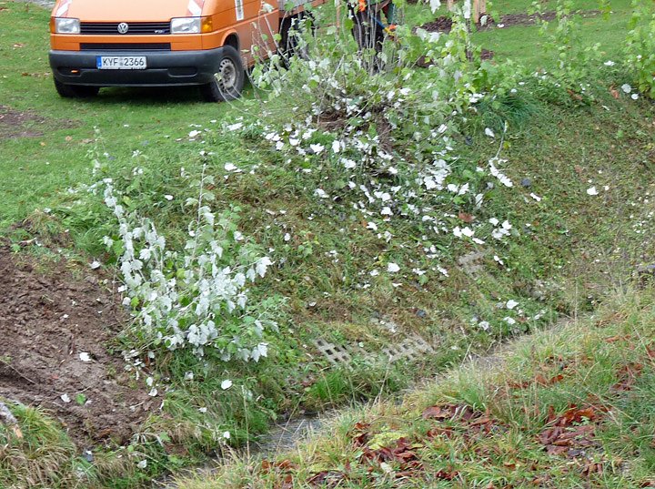 Neues vom Gottesacker