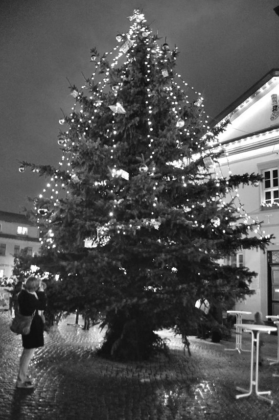 Frankenhisser Weihnachtsmarkt 2013!