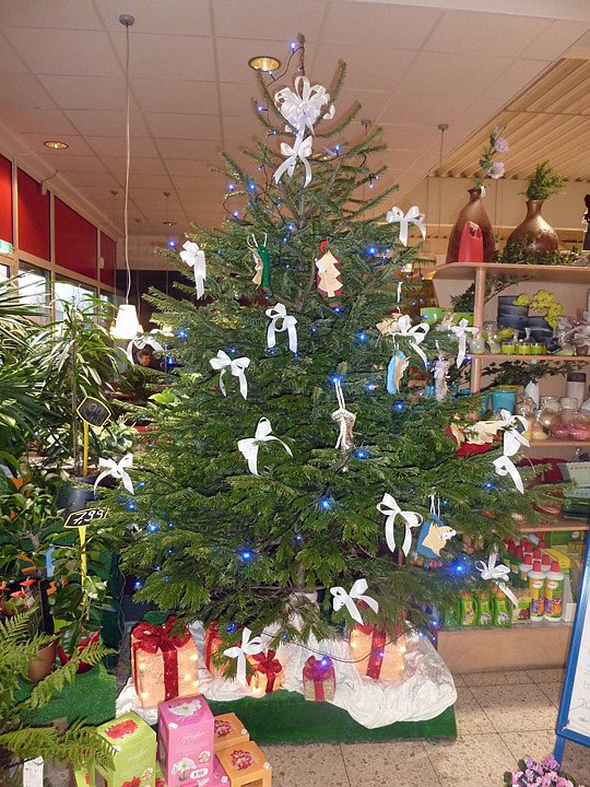 W&uuml;nsche erf&uuml;llen