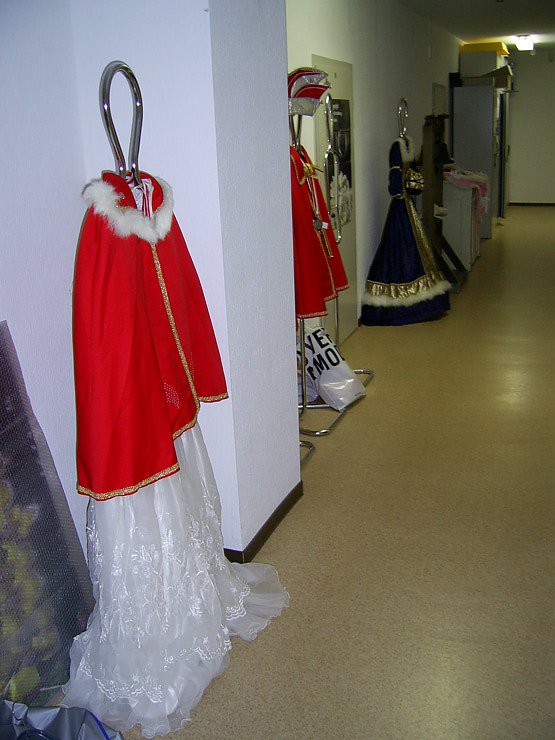 Fasching im Regionalmuseum
