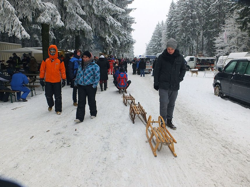 Schlittenhunderennen in Benneckenstein