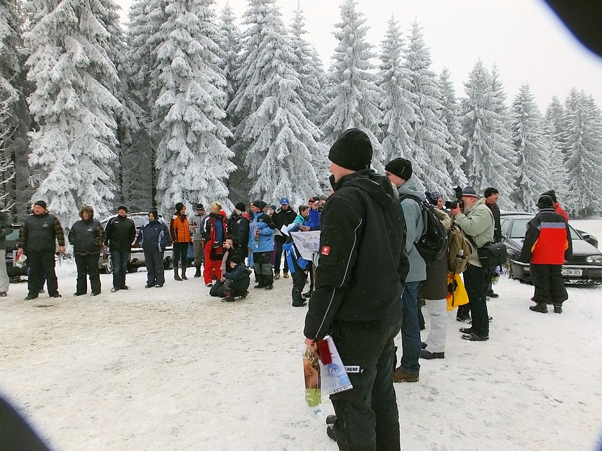 Schlittenhunderennen in Benneckenstein