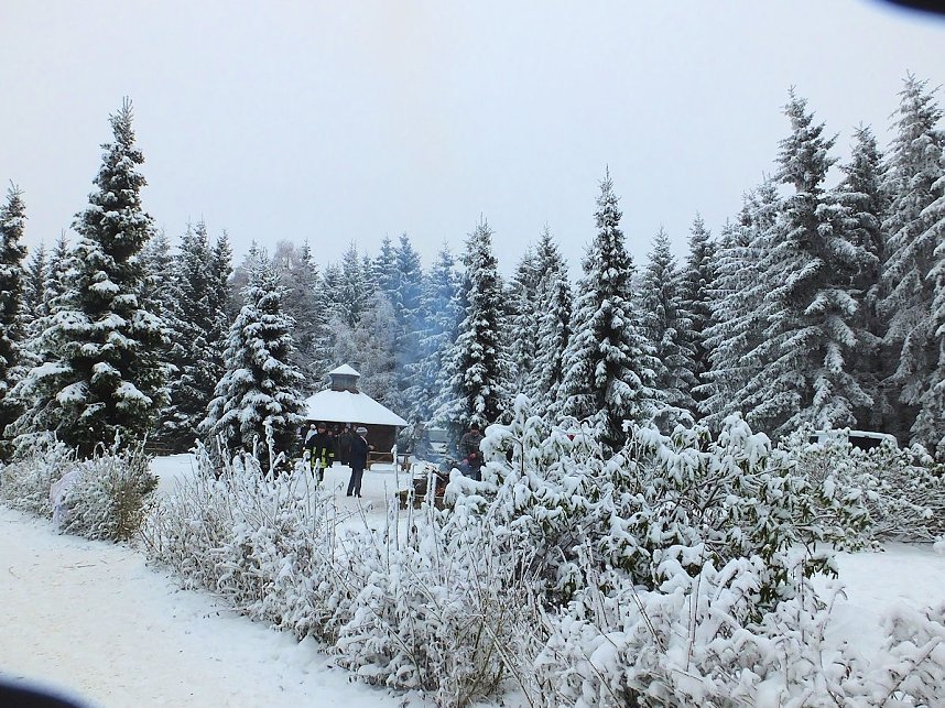 Schlittenhunderennen in Benneckenstein