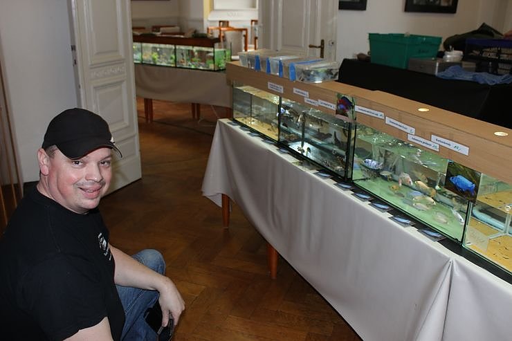 Zierfischb&ouml;rse und Terrarienb&ouml;rse...