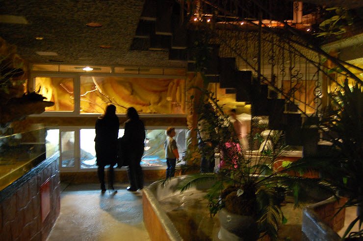 Nanderwanderung im  Nordh&auml;user Zoo nnz-City Scout on Tour