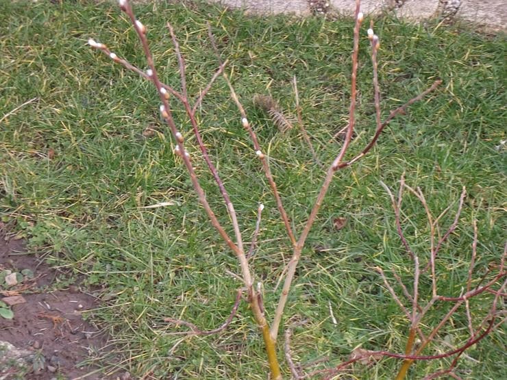 War�s das jetzt mit dem Winter?!