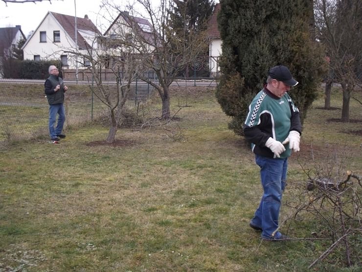 Baumschnitt im Kita-Projektgarten