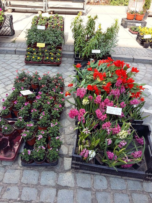 Sonntag in Sondershausen