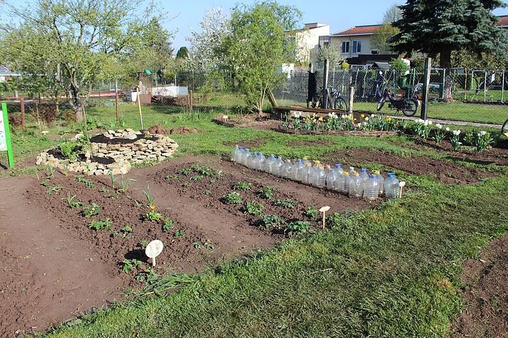 Kindern Natur nahe bringen