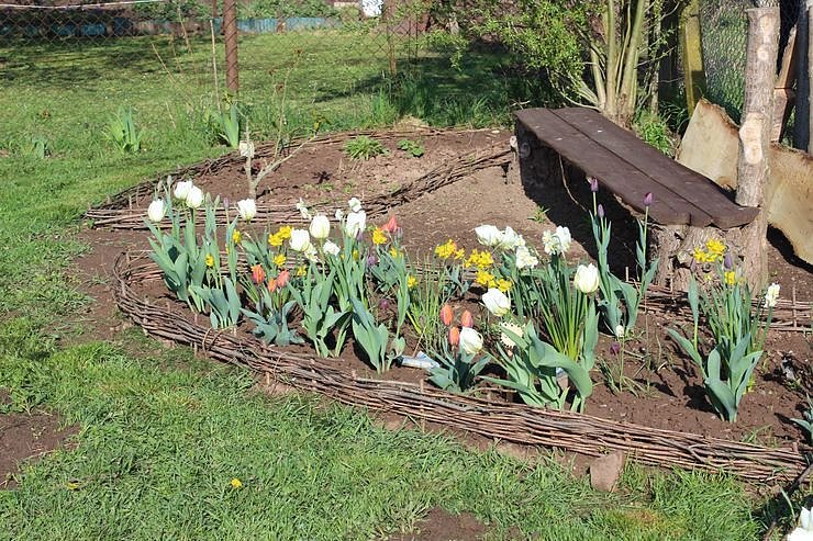 Kindern Natur nahe bringen